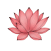Team Serene Ascending logo