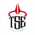 Twisted Saints Esports