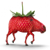 Strawberry Horses