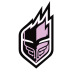Team CHSTR logo