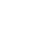 Team NFM logo