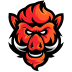 Team BOARS logo