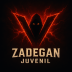 Team Zadegan Juvenil logo