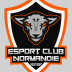 Team ECN logo