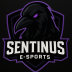 Team Team Sentinus logo