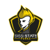Team SSP Numina logo