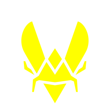 Team Vitality