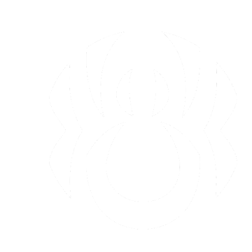 Cobweb eSports