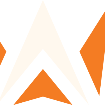 Dynasty