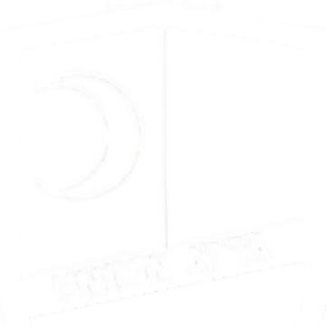 Union Atta