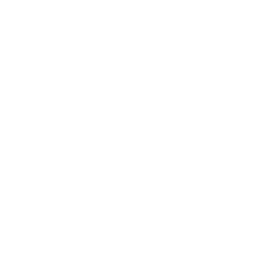 Artisans
