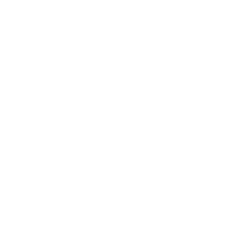 BLX CORP
